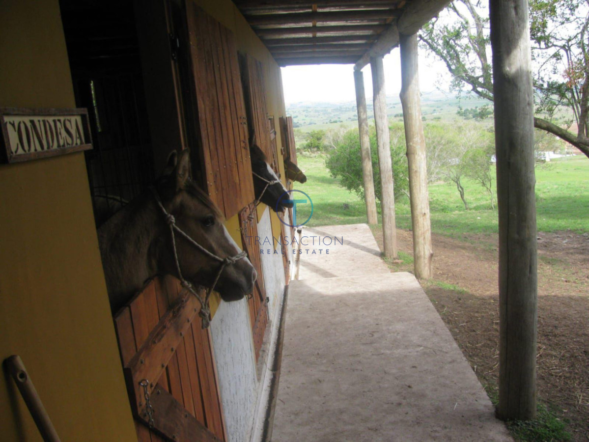 Chacra ID.1644/Ruta-39,-Km-46 - Chacra en Las Cañas , 13ha
