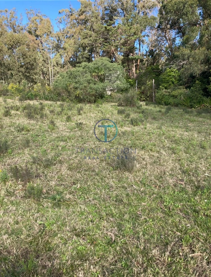 Chacra ID.367 - Chacra lussich