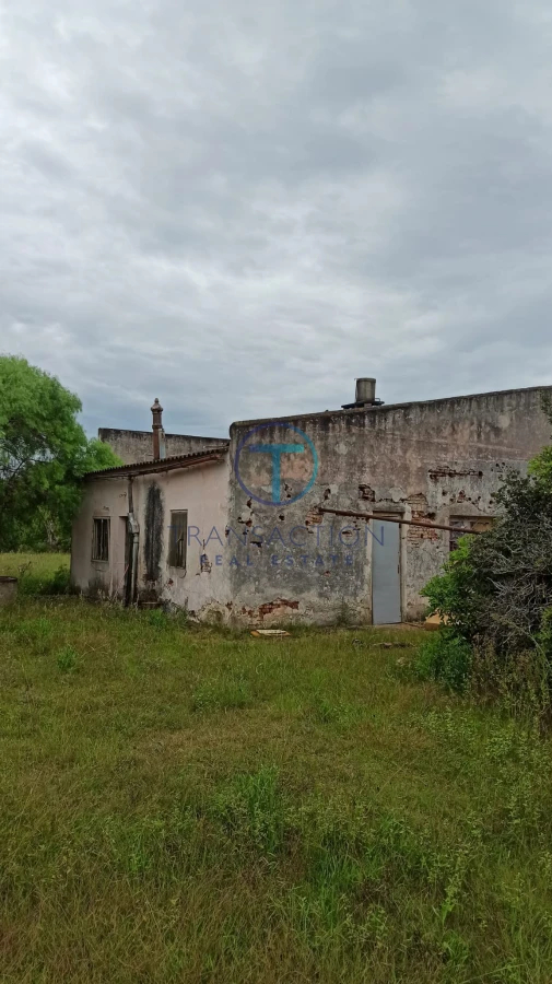 Chacra ID.367 - Chacra lussich