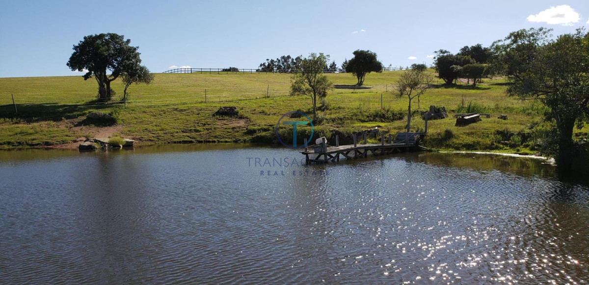 Chacra ID.1644/Ruta-39,-Km-46 - Chacra en Las Cañas , 13ha