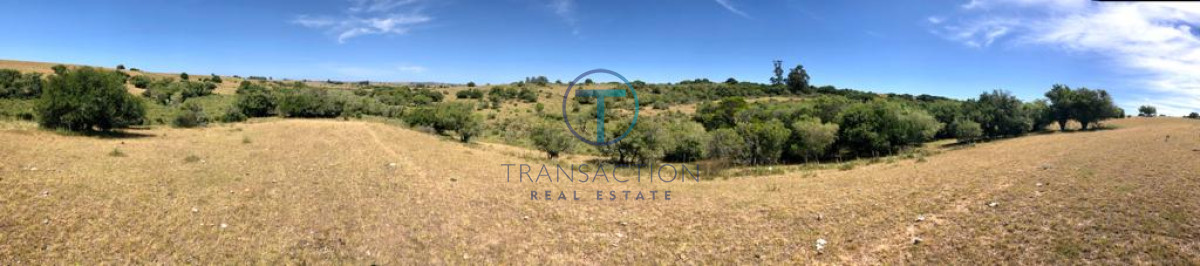 Chacra ID.176 - Venta en Garzon 2