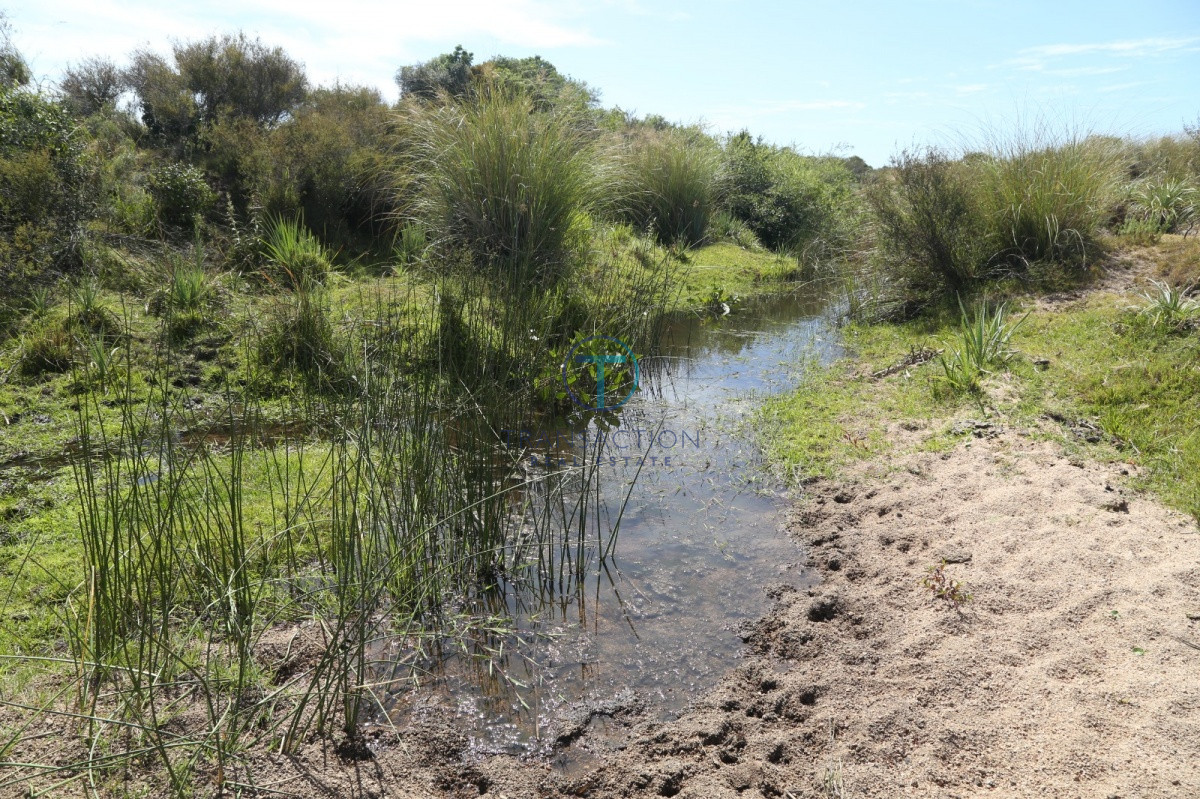 Chacra ID.176 - Venta en Garzon 2