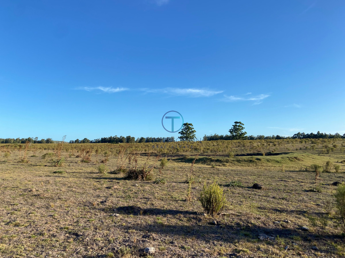 Campo Ref.1610/Campo-de-53-has - Campo en Venta - La barra