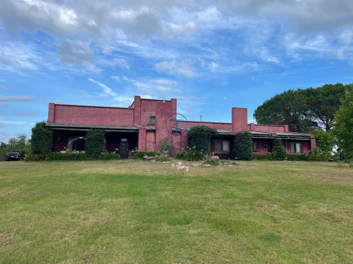 Campo Ref.1404/ - Campo ruta 39            608 Has