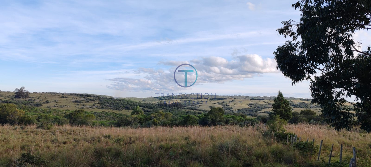 Campo Ref.1465/Campo-a-15-minutos-del-Pueblo-Garzon - Campo Garzón