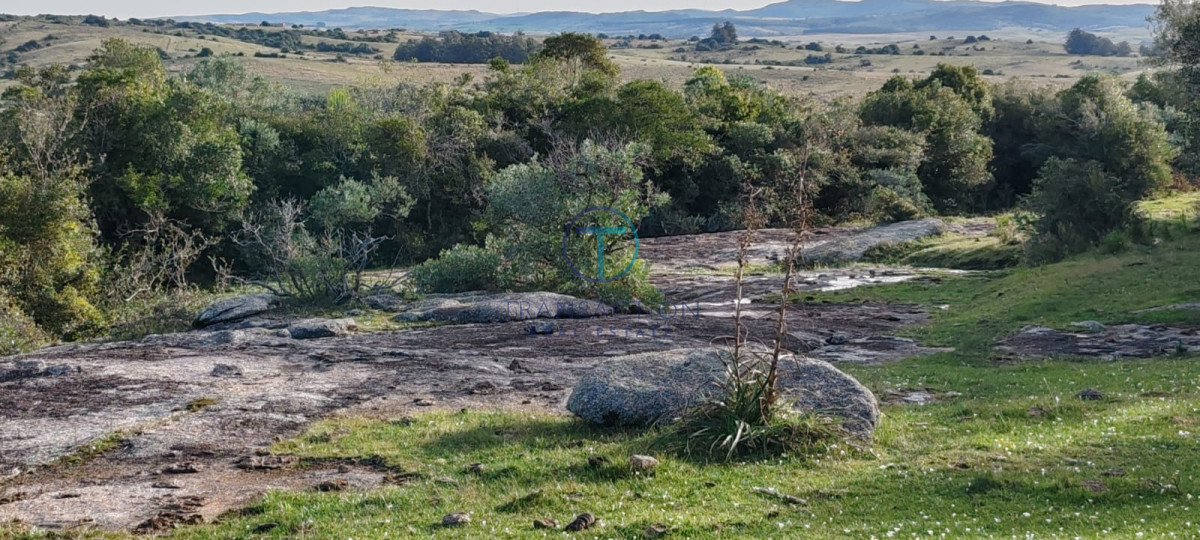 Campo Ref.1465/Campo-a-15-minutos-del-Pueblo-Garzon - Campo Garzón