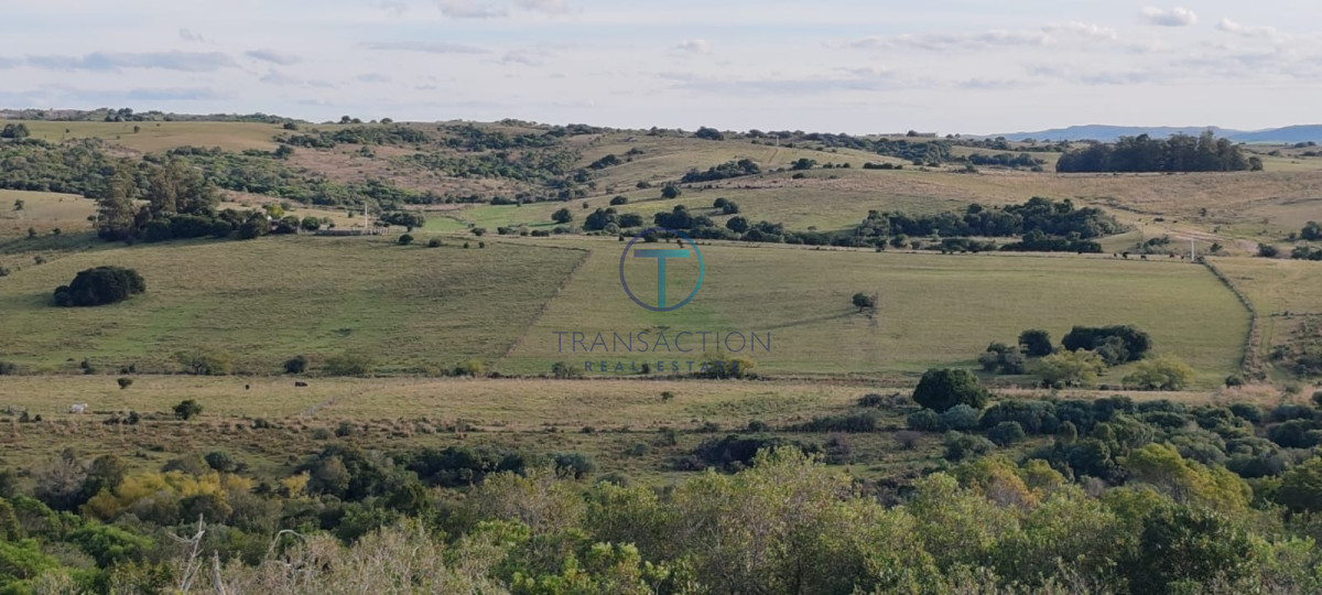 Campo Ref.1465/Campo-a-15-minutos-del-Pueblo-Garzon - Campo Garzón