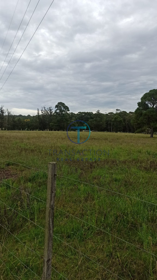 Campo Ref.284/Campos-en-Venta--Transaction-Real-Estate - Campo en Maldonado, 