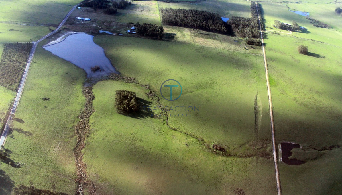 Campo Ref.61 - Campo de 53 has