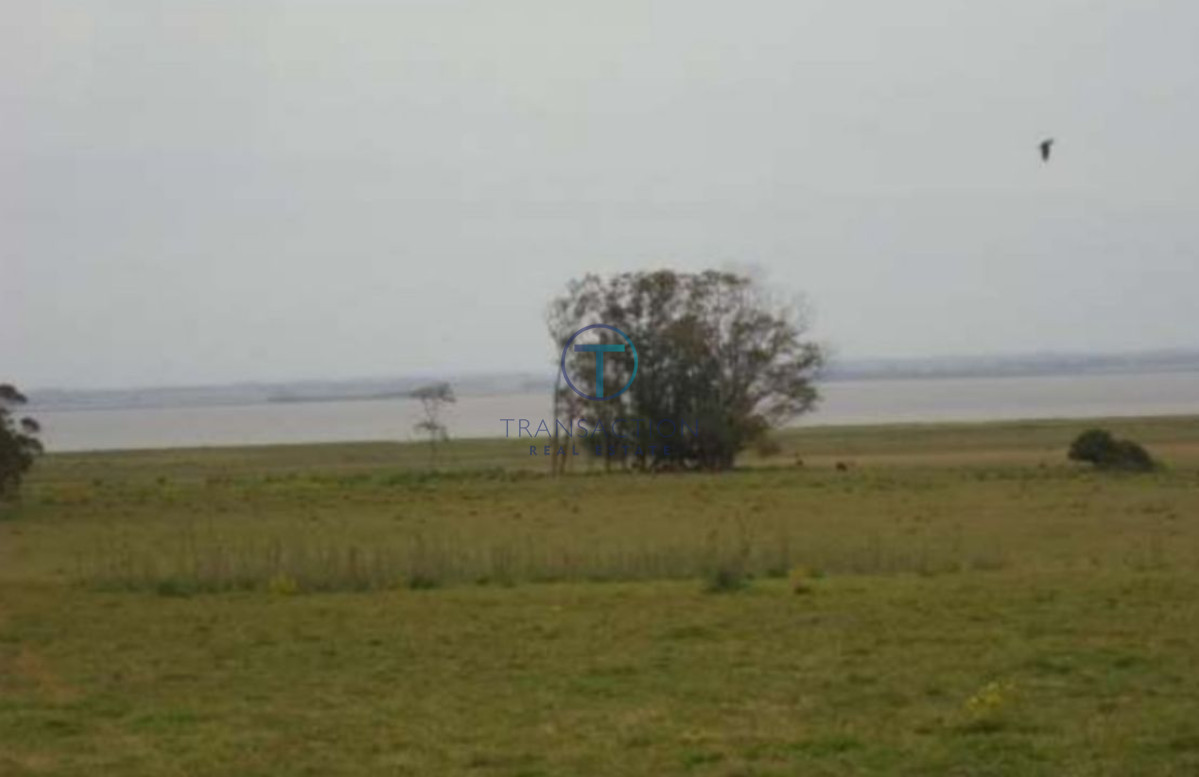 Campo Ref.205/Chacra-medellin-6 - Estancia sobre Laguna de Rocha, Rocha, Uruguay