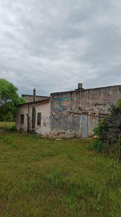 Campo Ref.284/Campos-en-Venta--Transaction-Real-Estate - Campo en Maldonado, 
