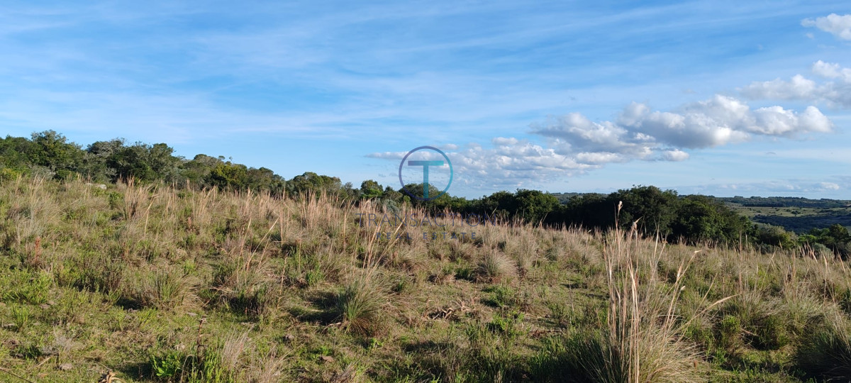 Campo Ref.1465/Campo-a-15-minutos-del-Pueblo-Garzon - Campo Garzón