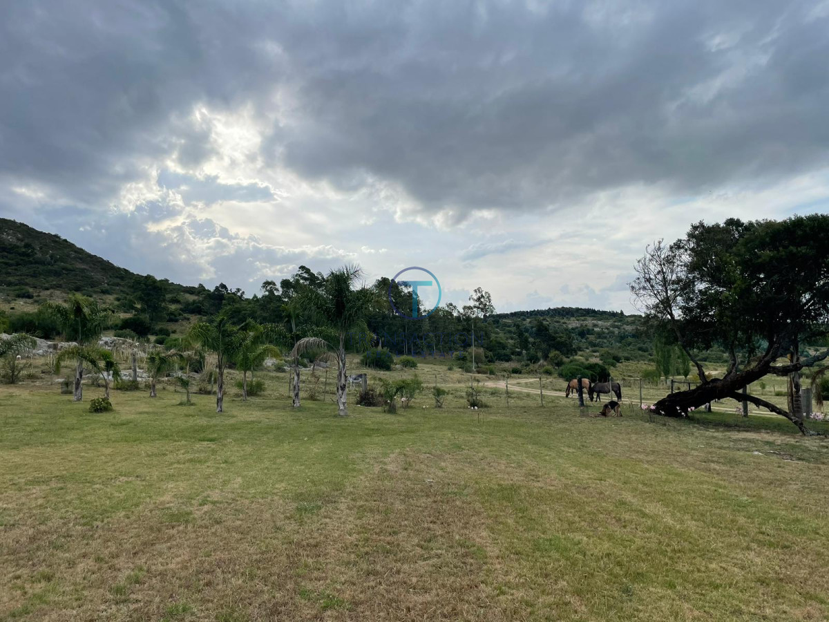 Campo Ref.1404/ - Campo ruta 39            608 Has