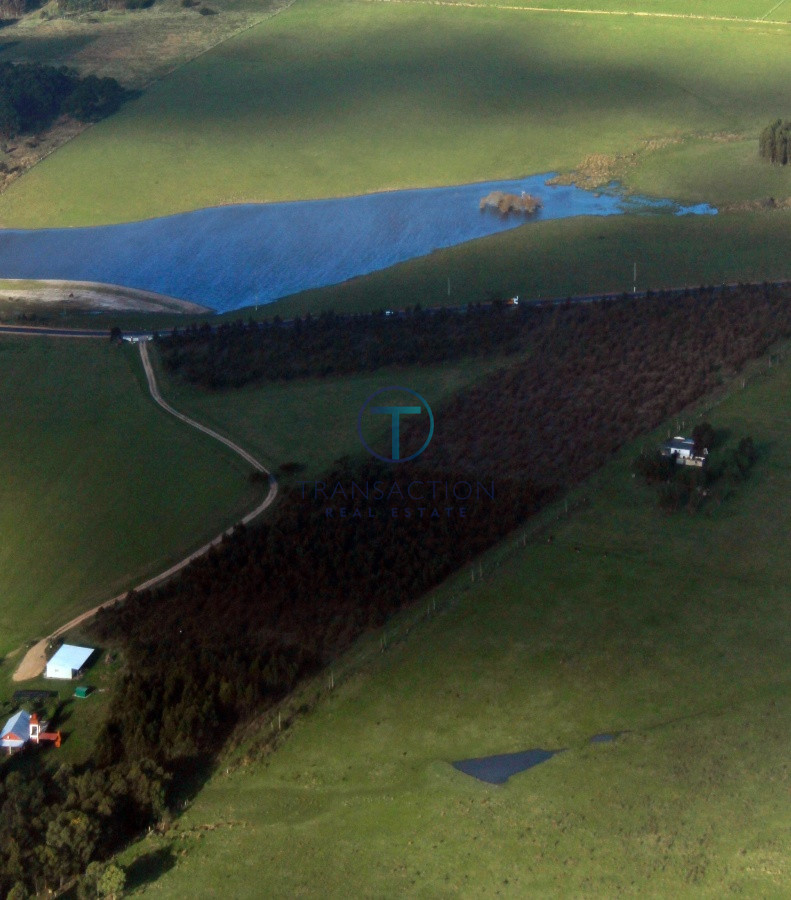 Campo Ref.61 - Campo de 53 has