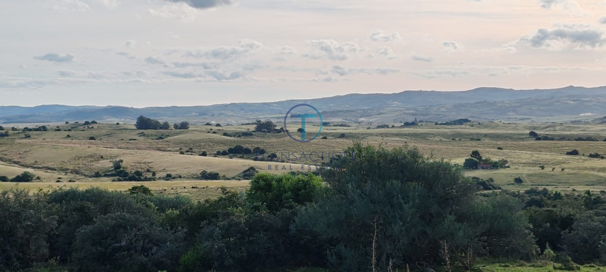 Campo Ref.1465/Campo-a-15-minutos-del-Pueblo-Garzon - Campo Garzón