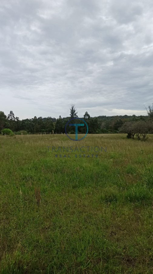Campo Ref.284/Campos-en-Venta--Transaction-Real-Estate - Campo en Maldonado, 