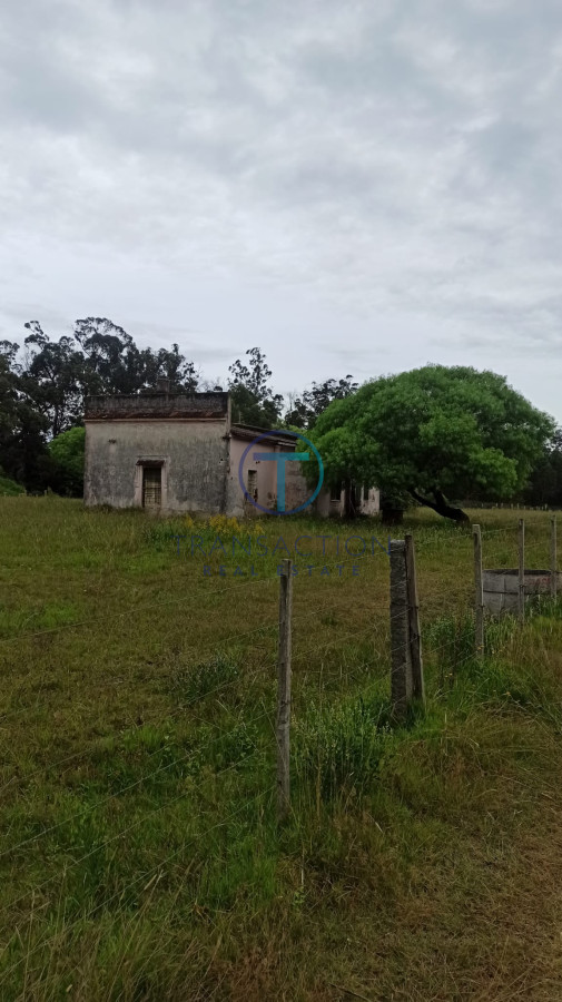 Campo Ref.284/Campos-en-Venta--Transaction-Real-Estate - Campo en Maldonado, 