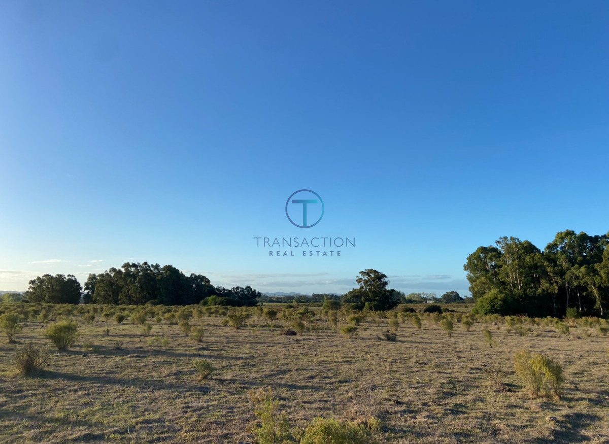 Campo Ref.1610/Campo-de-53-has - Campo en Venta - La barra