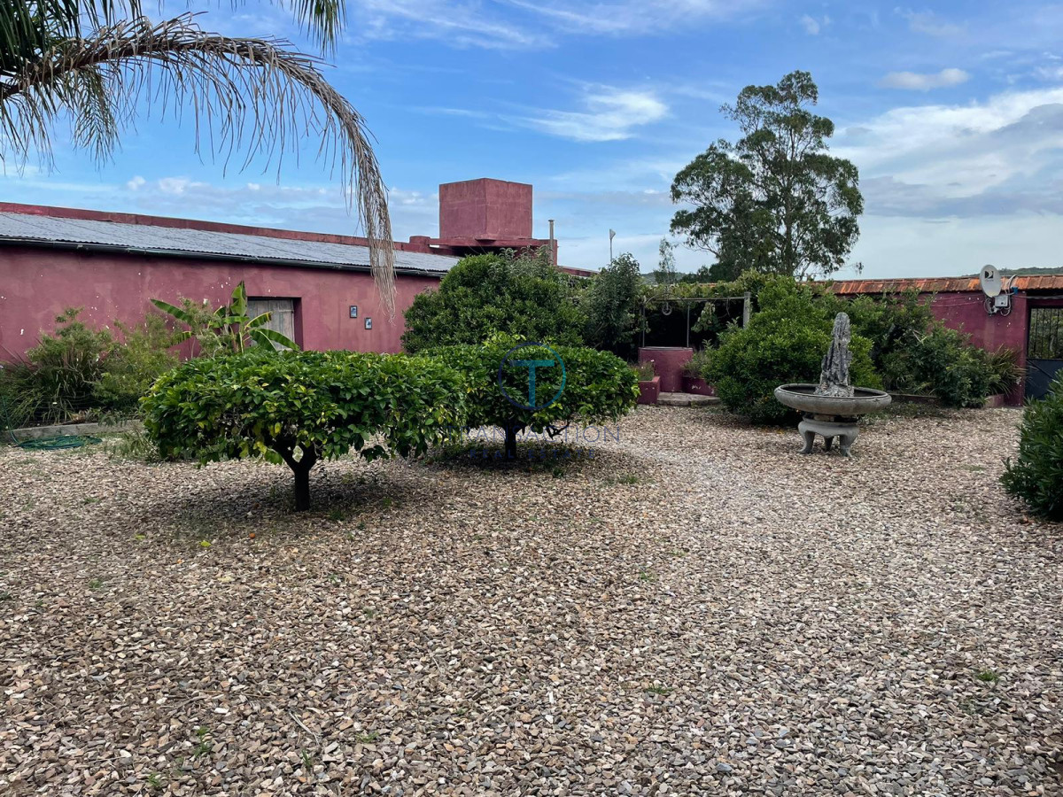 Campo Ref.1404/ - Campo ruta 39            608 Has