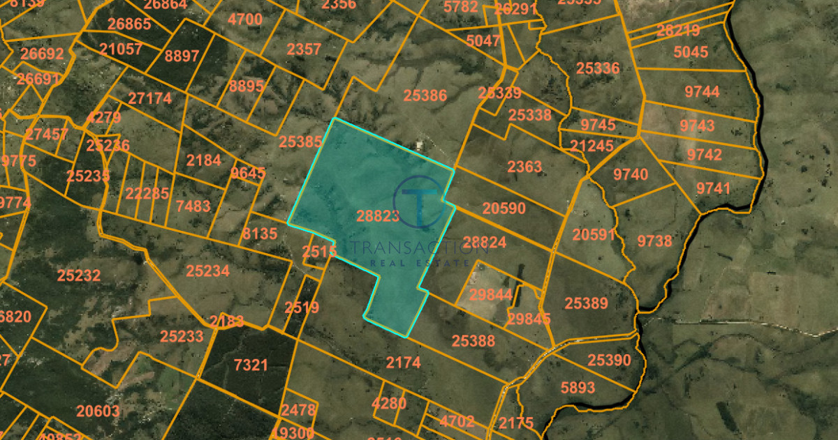Campo Ref.1690/CAMPO-EN-GARZON - Campo en Garzón - 260 ha