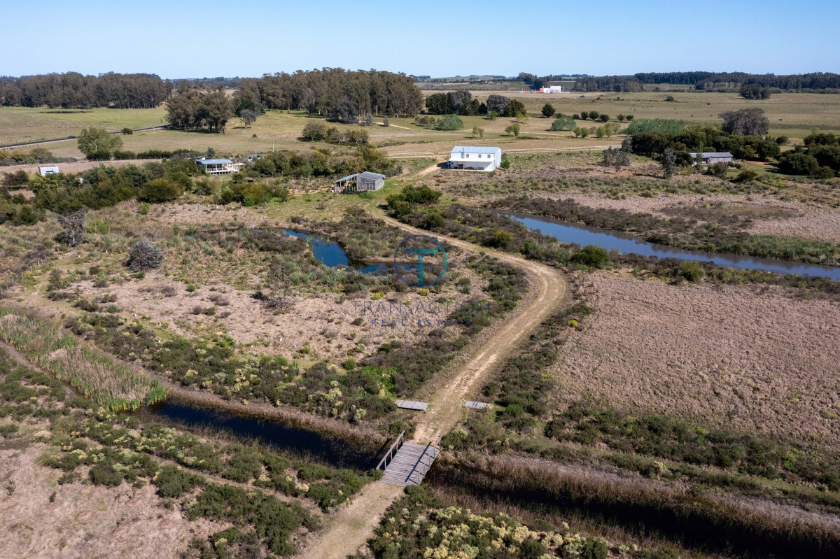 Campo Ref.51 - Vendo Chacra Medellin 3