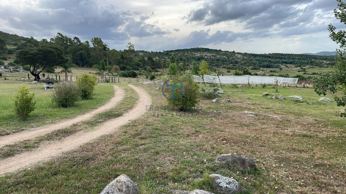 Campo Ref.1404 - Campo ruta 39            608 Has