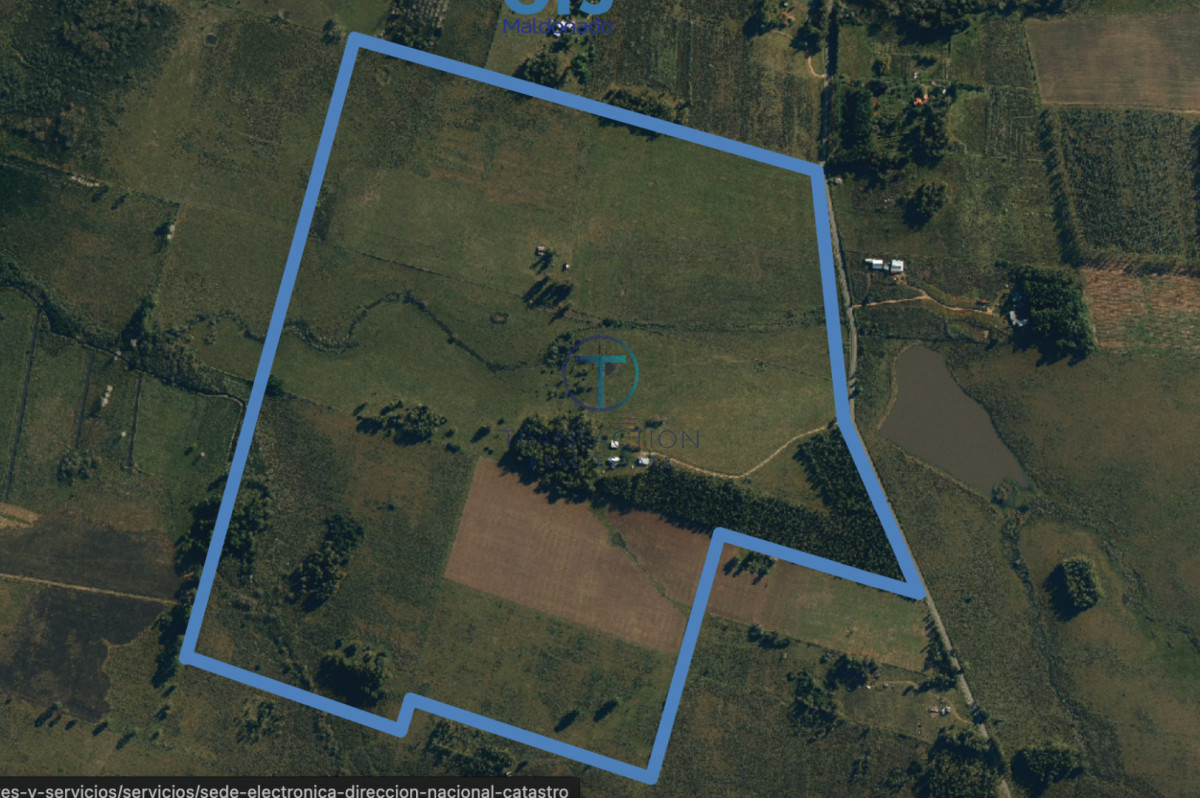 Campo Ref.1610/Campo-de-53-has - Campo en Venta - La barra