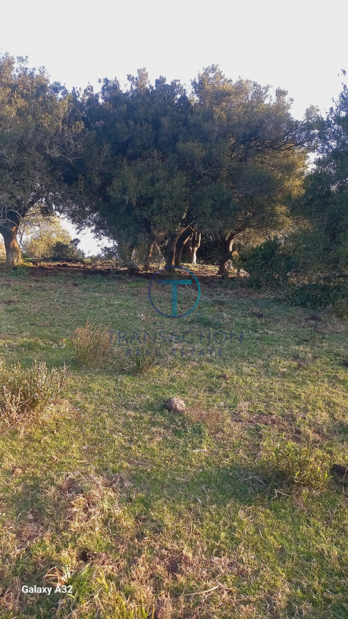 Campo Ref.1287/Chacra-medellin-6 - Campo en Garzon