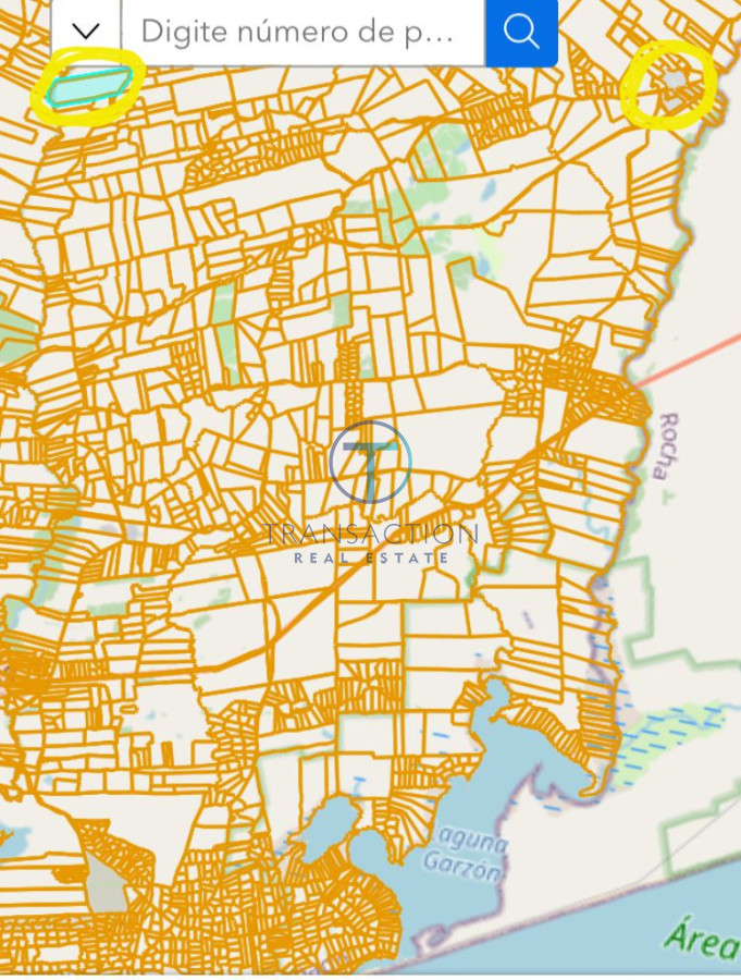 Campo Ref.1591/Estancia-sobre-Laguna-de-Rocha,-Rocha,-Uruguay - CAMPO EN GARZON
