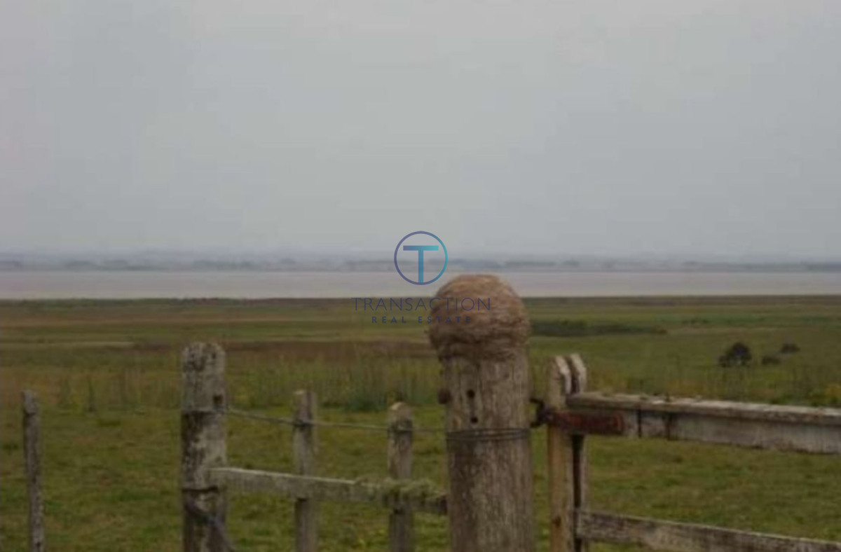 Campo Ref.205/Chacra-medellin-6 - Estancia sobre Laguna de Rocha, Rocha, Uruguay
