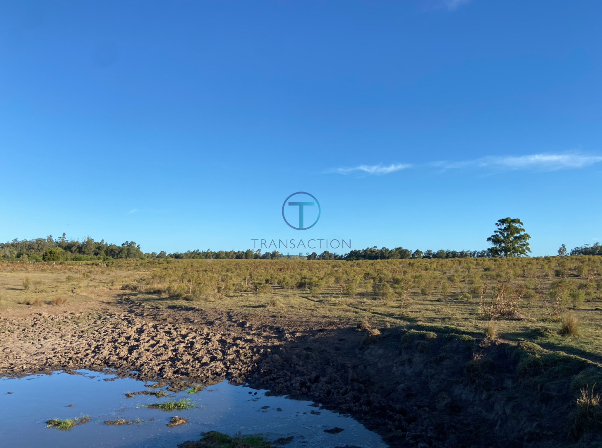 Campo Ref.1610/Campo-de-53-has - Campo en Venta - La barra