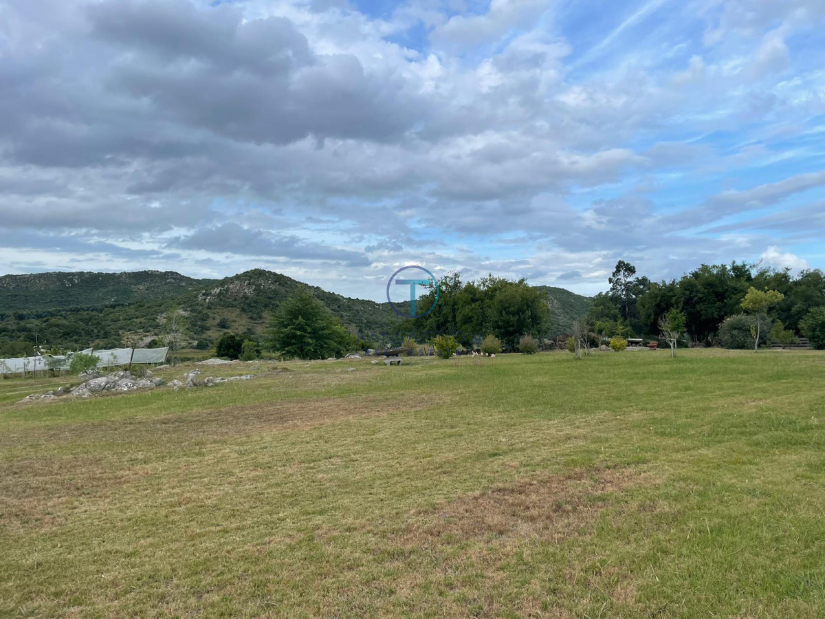 Campo Ref.1404 - Campo ruta 39            608 Has
