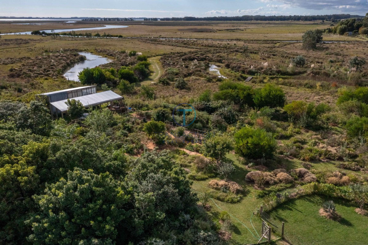 Campo Ref.51 - Vendo Chacra Medellin 3