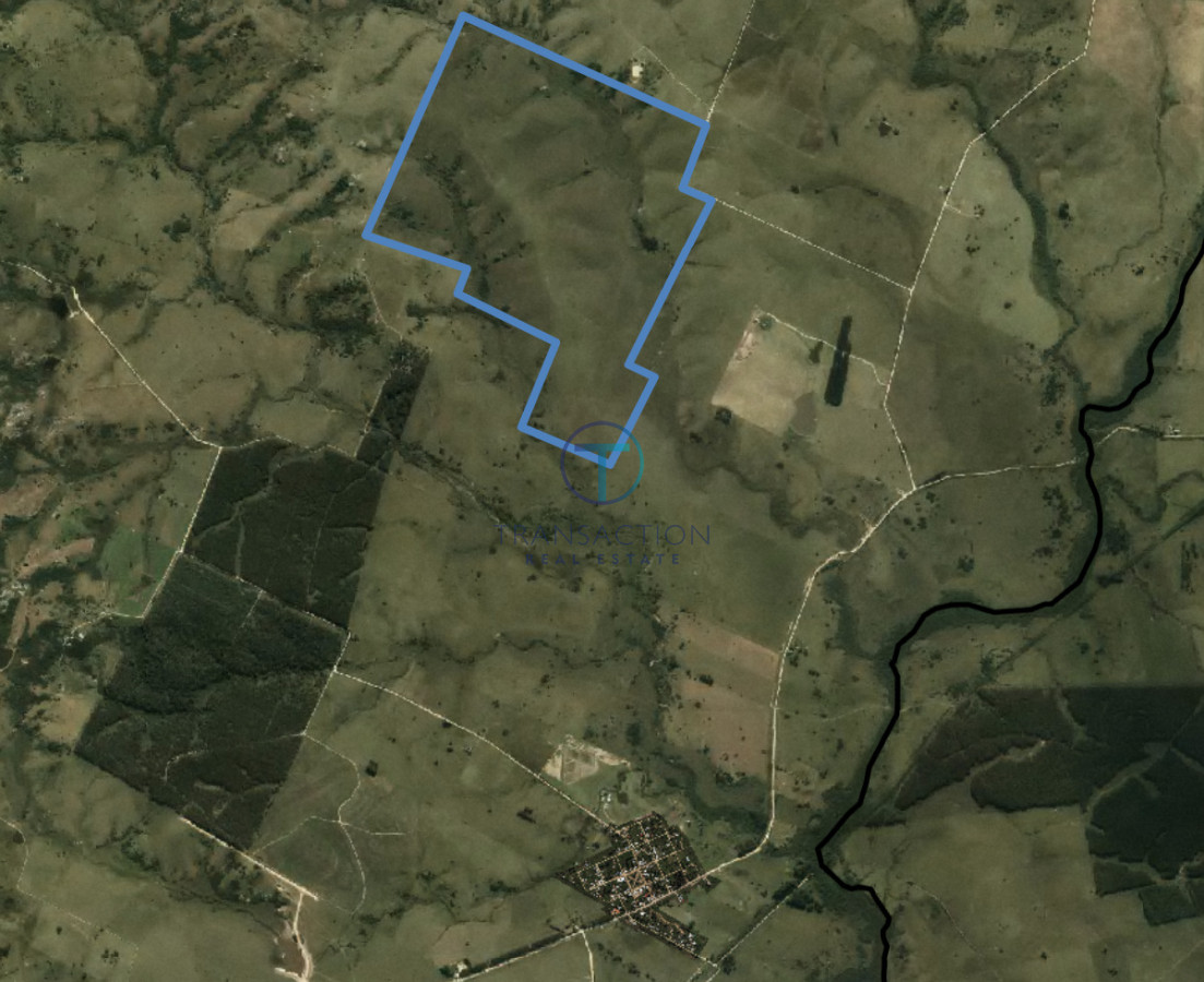 Campo Ref.1690/CAMPO-EN-GARZON - Campo en Garzón - 260 ha