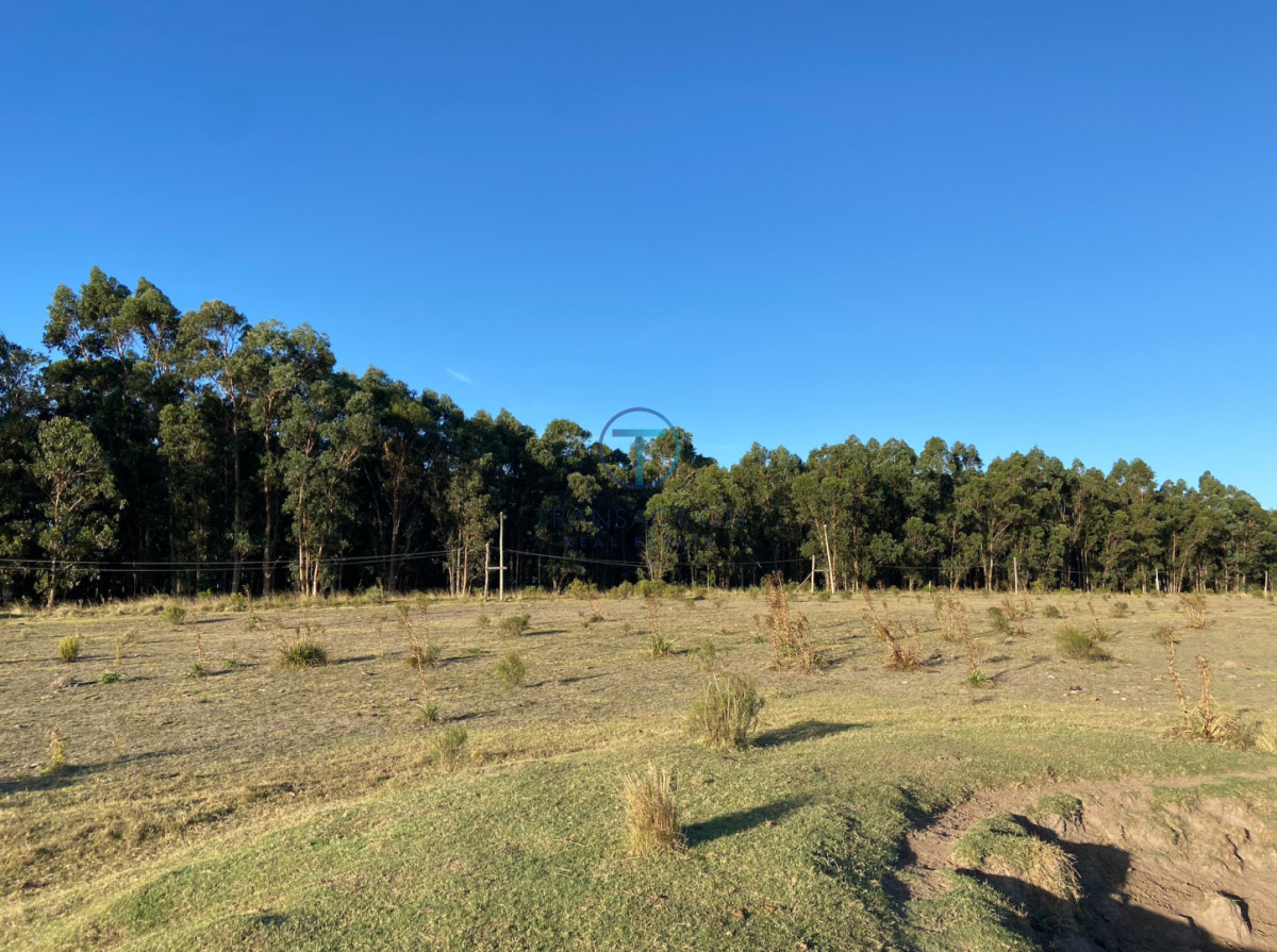 Campo Ref.1610/Campo-de-53-has - Campo en Venta - La barra