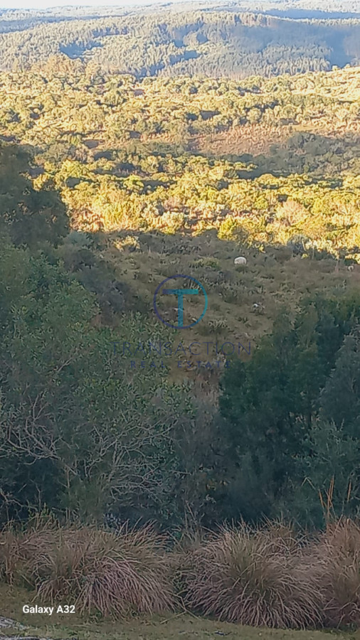 Campo Ref.1287/Chacra-medellin-6 - Campo en Garzon