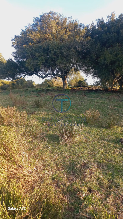 Campo Ref.1287/Chacra-medellin-6 - Campo en Garzon