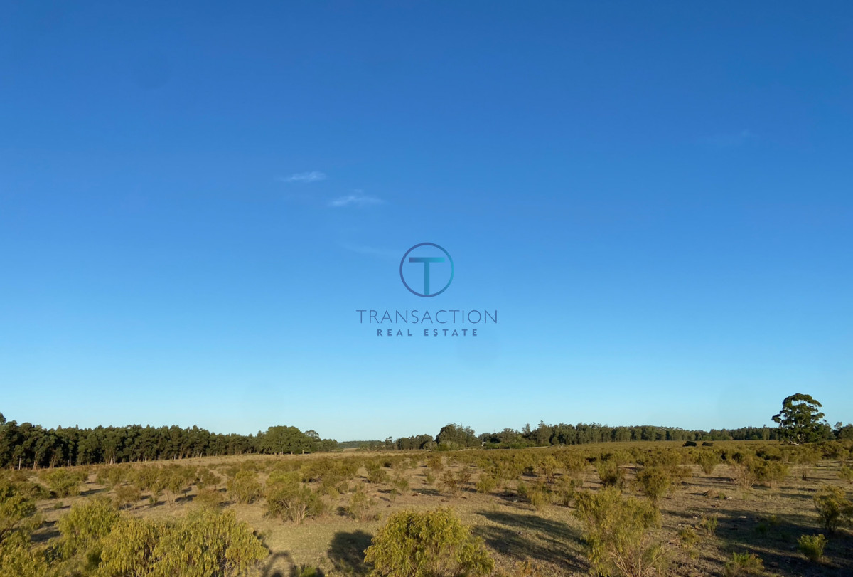 Campo Ref.1610/Campo-de-53-has - Campo en Venta - La barra