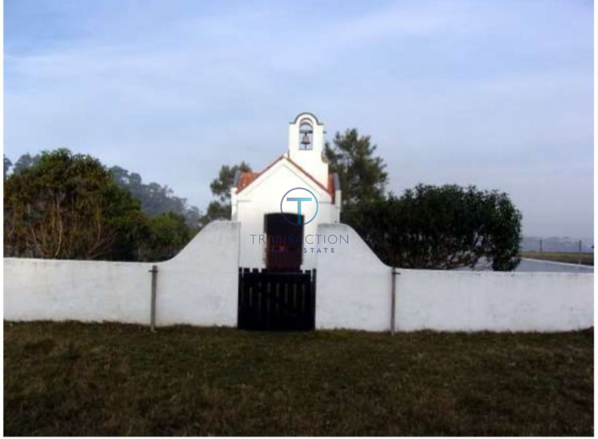 Campo Ref.205/Chacra-medellin-6 - Estancia sobre Laguna de Rocha, Rocha, Uruguay