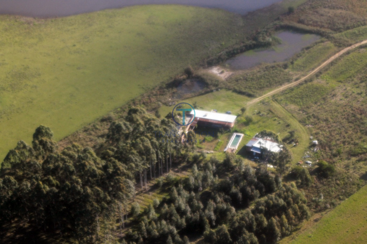 Campo Ref.61/Campos-en-Venta--Transaction-Real-Estate - Campo de 53 has