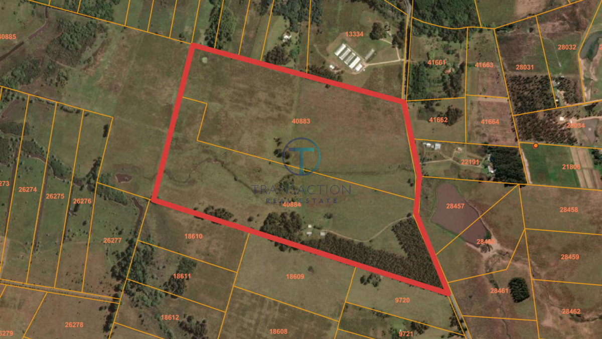 Campo Ref.61 - Campo de 53 has