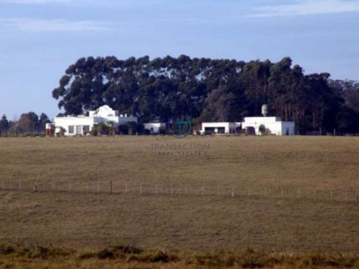Campo Ref.205/Chacra-medellin-6 - Estancia sobre Laguna de Rocha, Rocha, Uruguay