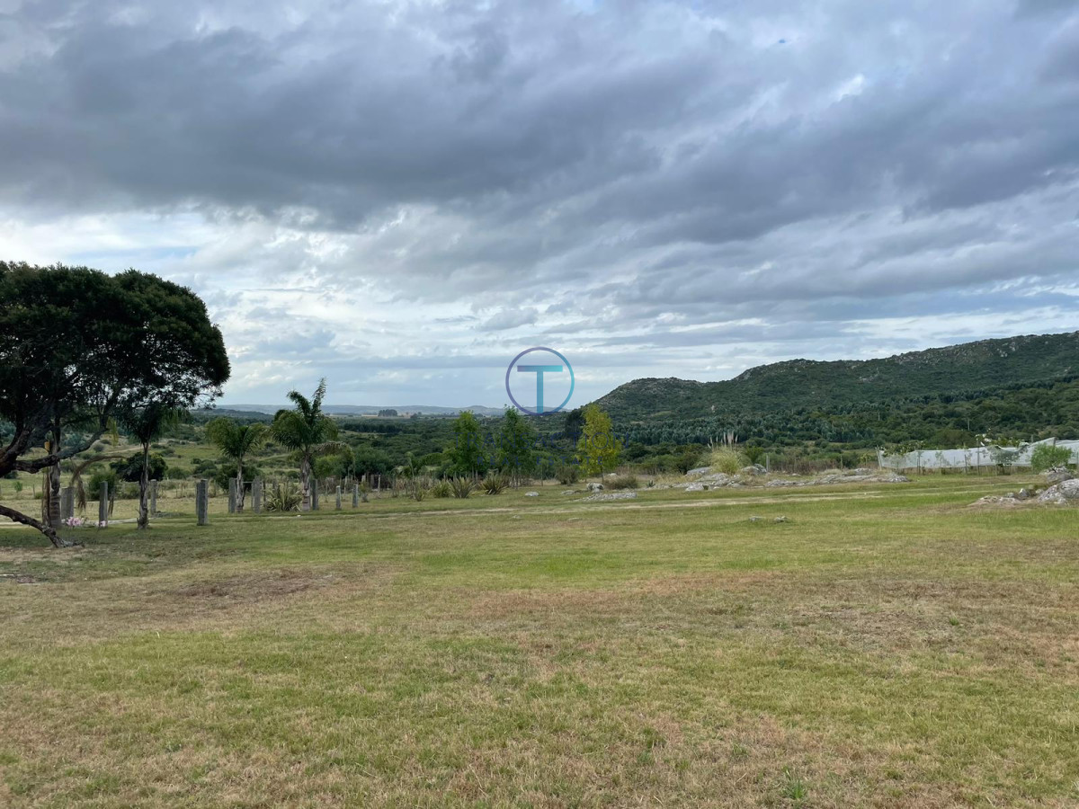 Campo Ref.1404 - Campo ruta 39            608 Has