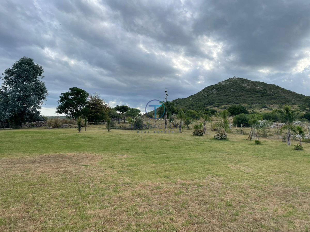 Campo Ref.1404 - Campo ruta 39            608 Has