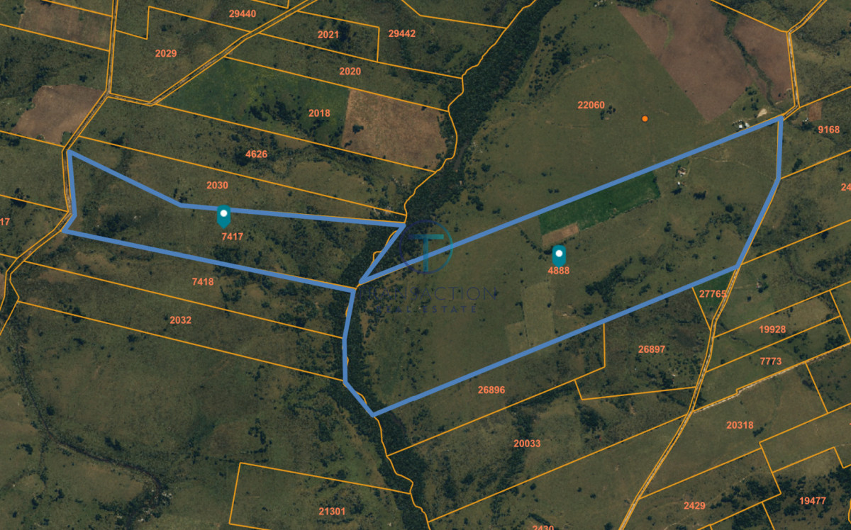 Campo Ref.1591/Estancia-sobre-Laguna-de-Rocha,-Rocha,-Uruguay - CAMPO EN GARZON