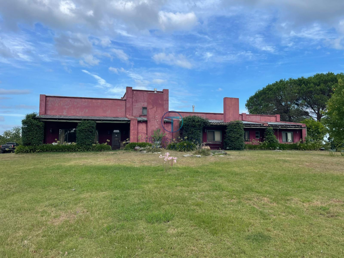 Campo Ref.1404 - Campo ruta 39            608 Has