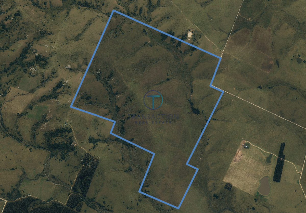 Campo Ref.1690/CAMPO-EN-GARZON - Campo en Garzón - 260 ha