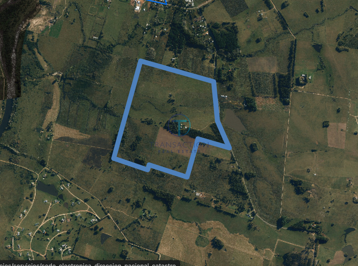 Campo Ref.1610/Campo-de-53-has - Campo en Venta - La barra