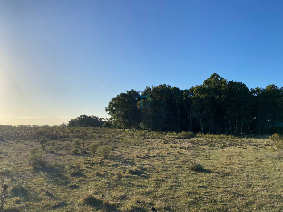 Campo Ref.1610/Campo-de-53-has - Campo en Venta - La barra