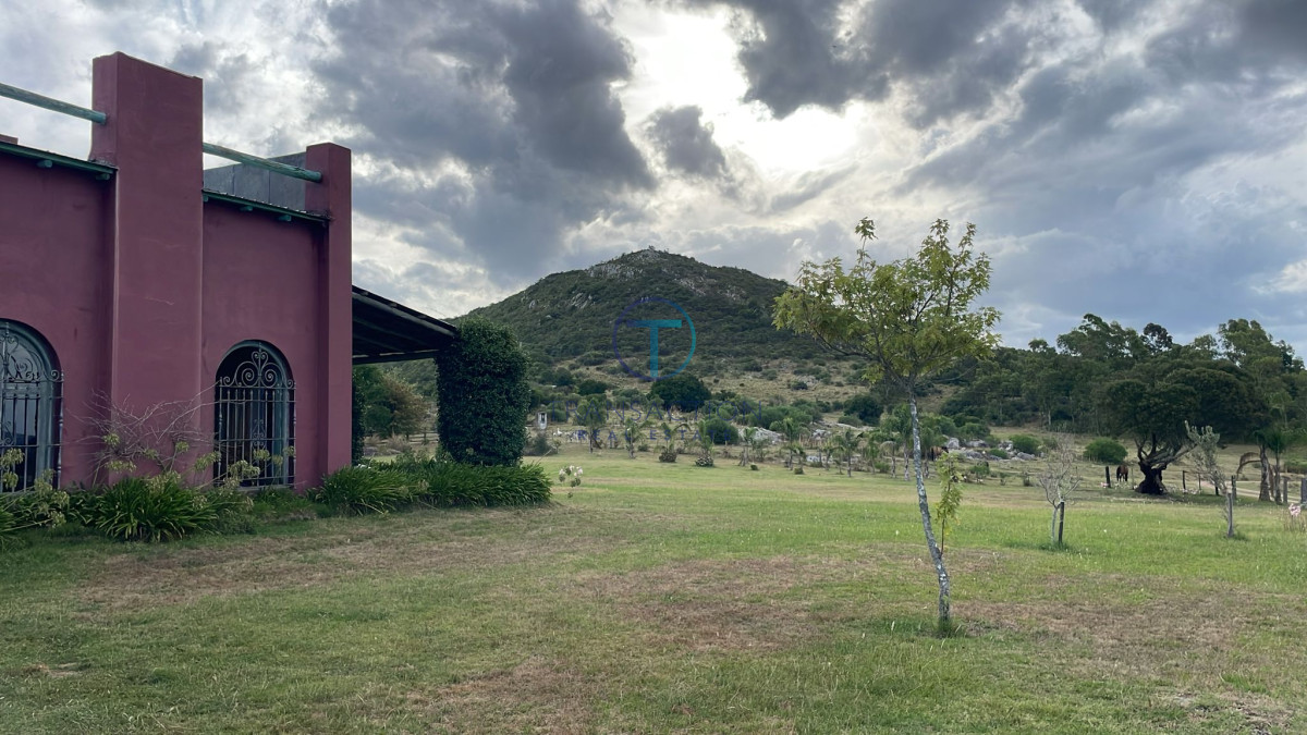 Campo Ref.1404 - Campo ruta 39            608 Has